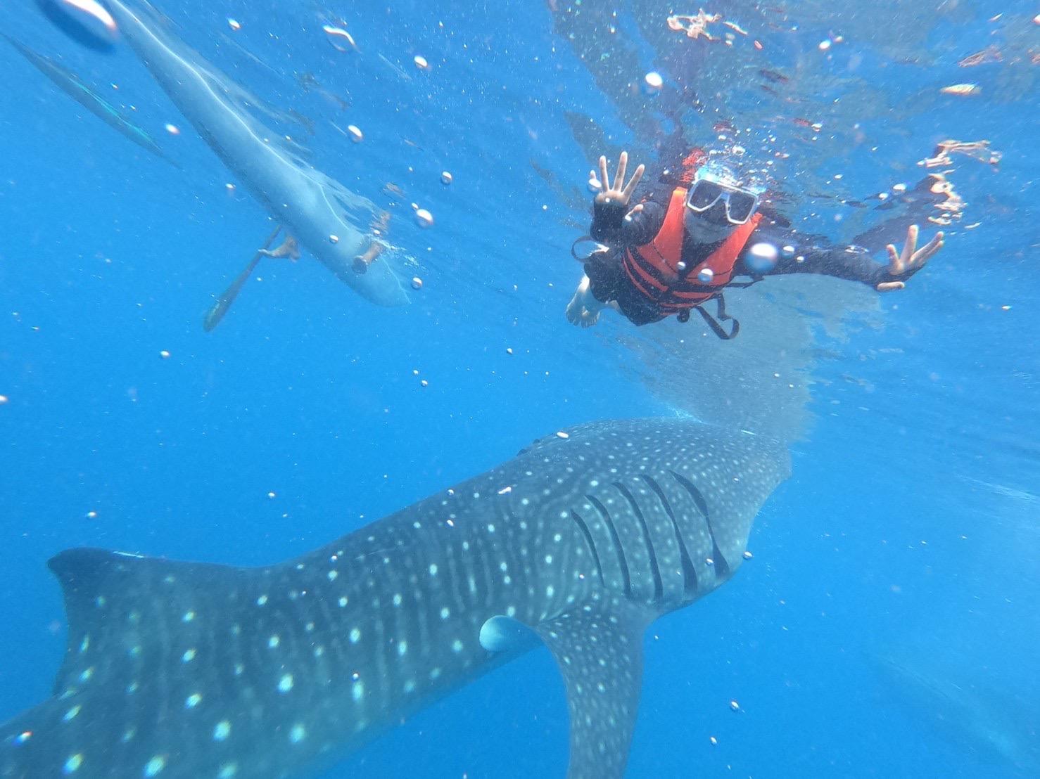 CIA（シーアイエー）｜体験談