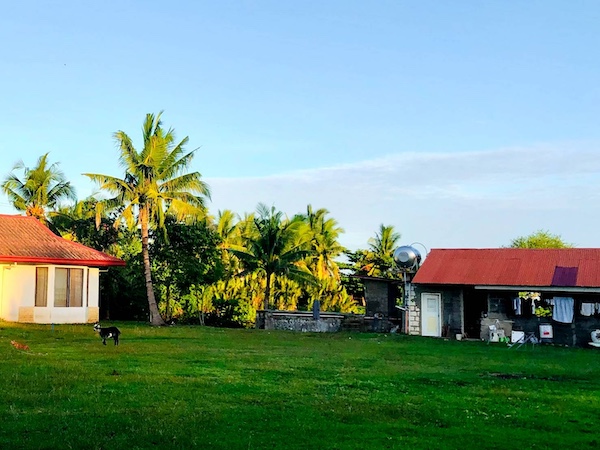 ELSA エルサ | 体験談