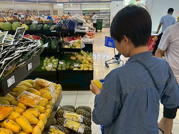 ELSA エルサ | 体験談