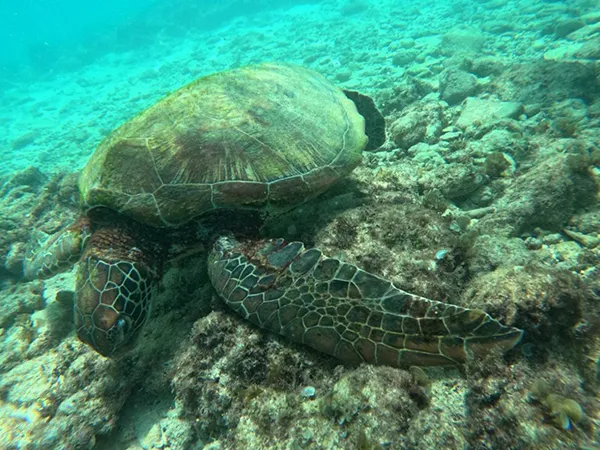 IU アイユー | 体験談