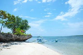 ターゲット｜体験談