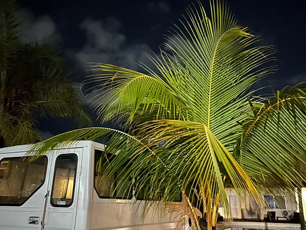 Target ターゲット｜体験談