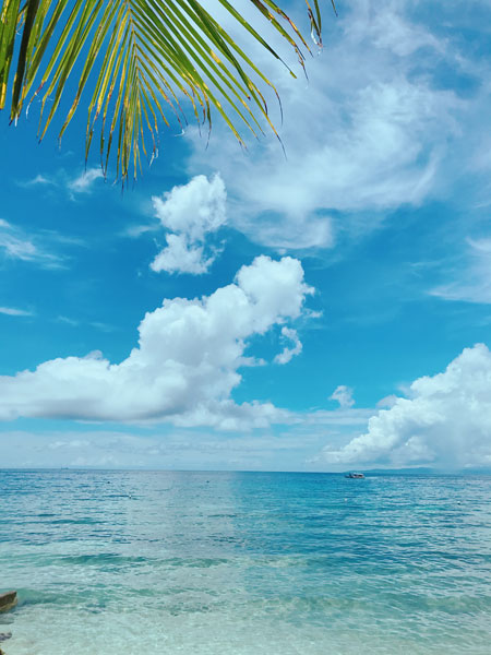 CDU ESL｜フィリピン留学留学体験談