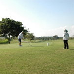 ゴルフ留学