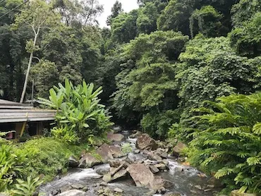 Mambukal(マンブカル)リゾート | E-Room  イールーム