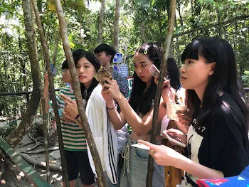 ボホールツアー | IDEA イデアアカデミア