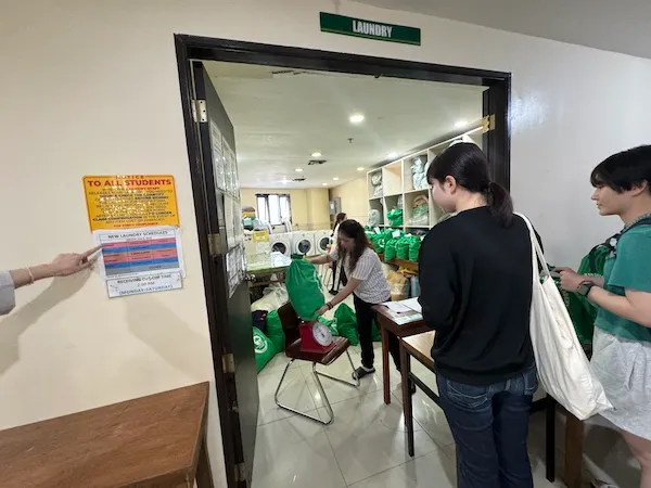 ランドリー | Pines パインス