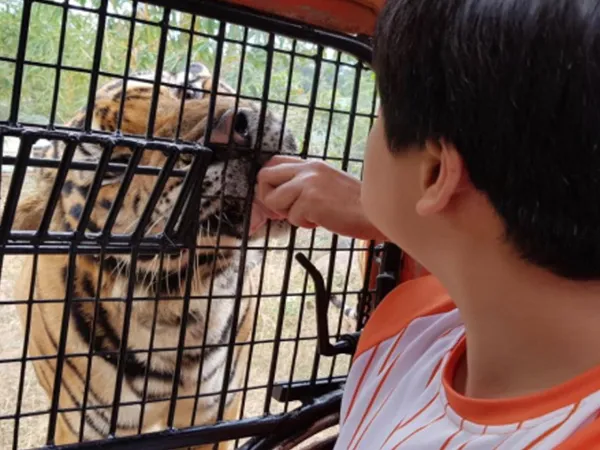 サファリパーク | SMEAG ターラック