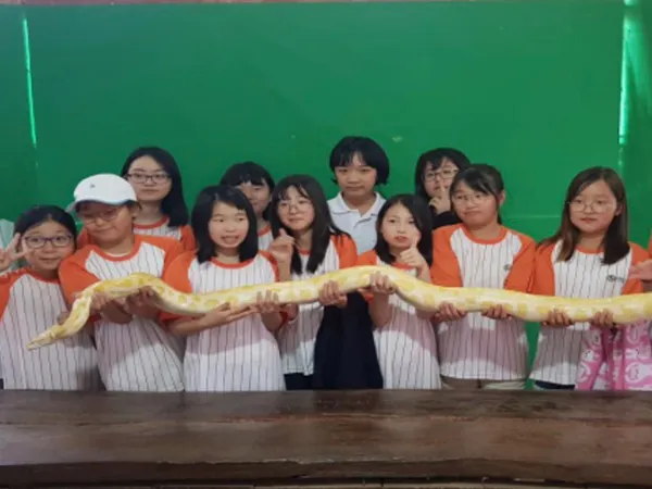 サファリパーク | SMEAG ターラック