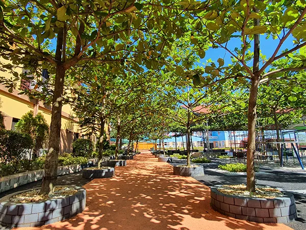 中庭 | SMEAG ターラック