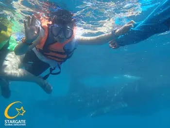 オスロブジンベイツアー | Stargate スターゲート