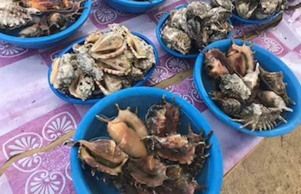 カオハガン島ツアー | Target ターゲット